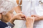 Chó đánh hơi phát hiện Parkinson sớm, độ chính xác tới 98%