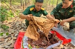 Phát hiện, cất bốc 13 hài cốt liệt sỹ tại thị xã Bình Long