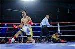Võ sỹ Nguyễn Ngọc Hải giành đai vô địch WBA Nam Á
