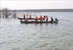 Ninh Thuận thả cá giống tái tạo nguồn lợi thủy sản xuống hồ chứa nước sông Cái