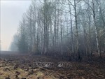 Nam Phi cử 400 lính cứu hỏa hỗ trợ dập cháy rừng ở Canada