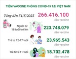 Tình hình tiêm vaccine phòng COVID-19 tại Việt Nam tính đến hết ngày 31/5/2023