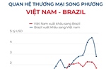 Quan hệ thương mại song phương Việt Nam - Brazil
