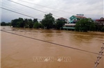 Ba tỉnh, thành phố triển khai hộ đê, đảm bảo an toàn hệ thống đê điều