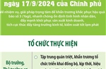 Nghị quyết số 143/NQ-CP ngày 17/9/2024 của Chính phủ: Tổ chức thực hiện