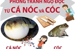 Phòng tránh ngộ độc từ cá nóc và cóc