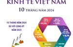 10 tháng năm 2024: Kinh tế Việt Nam tăng trưởng trên nhiều lĩnh vực