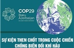 COP29 - Sự kiện then chốt trong cuộc chiến chống biến đổi khí hậu