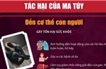 Tác hại của ma túy