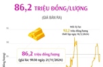 Vàng SJC sáng 21/11 có giá 86,2 triệu đồng/lượng