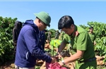 &#39;Chủ Nhật về làng&#39; - Mô hình dân vận gần dân, giữ vững an ninh buôn làng