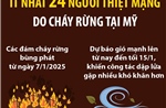 Ít nhất 24 người thiệt mạng do cháy rừng tại Mỹ