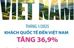 Tháng 1/2025: Khách quốc tế đến Việt Nam tăng 36,9%