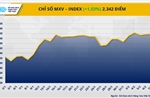Chỉ số MXV-Index lên mức cao nhất trong vòng hơn 8 tháng