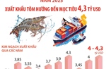 Năm 2025, xuất khẩu tôm hướng đến mục tiêu 4,3 tỷ USD