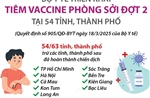 Bộ Y tế triển khai tiêm vaccine phòng sởi đợt 2 tại 54 tỉnh, thành phố