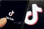 EU phạt TikTok 600 triệu USD