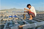 Cơ chế vay vốn ưu đãi hỗ trợ phát triển nuôi biển công nghệ cao