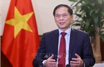 Tạo nền tảng vững chắc đưa quan hệ song phương giữa Việt Nam và các nước lên tầm cao mới