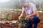 Việt Nam - Australia ưu tiên thúc đẩy hợp tác phát triển nông nghiệp bền vững