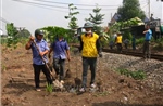 Đồng Nai lan tỏa phong trào &#39;đường tàu - đường hoa&#39; 