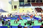 250 vận động viên khuyết tật dự Giải vô địch quốc gia các môn Cầu lông, Bóng bàn, Cử tạ, Pickleball