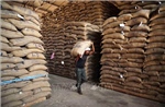 Giá gạo Ấn Độ giảm xuống mức thấp nhất 2 năm