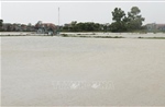 Đề phòng nguy cơ lũ quét, sạt lở đất ở 5 tỉnh, thành phố khu vực Trung Bộ