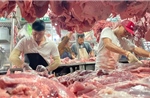Đầu tư bài bản cho &#39;thịt sạch&#39;
