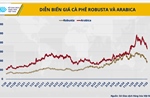 Ba năm hỗn loạn giá cà-phê