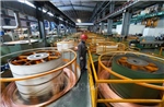 Những quốc gia nào dễ bị ảnh hưởng nhất nếu Tổng thống Mỹ áp mức thuế 100%?