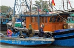 Lực lượng bảo vệ biển, đảo căng mình ứng phó bão số 3 