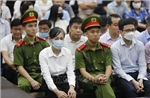 Vụ Tập đoàn Phúc Sơn: Bị cáo Hoàng Thị Thúy Lan kháng cáo xin giảm nhẹ hình phạt