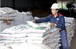 Doanh nghiệp phân bón đón &#39;mùa vàng&#39; xuất khẩu nhờ cầu tăng, giá tốt