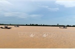 Ứng phó bão số 5: Tám tỉnh, thành phố đã thực hiện lệnh cấm biển