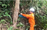 Ứng phó bão số 5: Tổng công ty Điện lực miền Trung gia cố hệ thống điện, viễn thông 