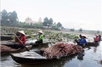 Khai thác lợi thế đa dạng, Tây Ninh tăng tốc phát triển du lịch