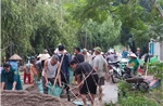Hàng trăm người trắng đêm xử lý sự cố đê chống lũ rừng ngang ở Mỹ Đức (Hà Nội)