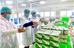 &#39;Đòn bẩy&#39; cho một Việt Nam thịnh vượng - Bài 1: Từ bổ trợ đến vai trò dẫn dắt 