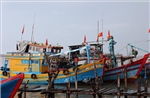 Tàu cá nằm bờ vì tàu một đằng, giấy phép một nẻo