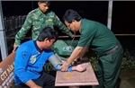 Đưa 4 thuyền viên gặp nạn trên biển vào đất liền an toàn