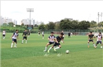 Jeonbuk Open Cup 2025 - Điểm hẹn gắn kết kiều bào tại Hàn Quốc