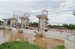 Vận hành xả hai cống kiểm soát lũ sông Cửu Long và vùng Tứ Giác Long Xuyên