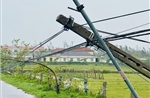 Bộ Công Thương ban hành công điện khẩn về khắc phục thiệt hại do bão số 10