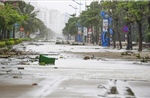 Thanh Hóa tan hoang sau bão số 10
