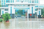 Hà Nội: Còn nhiều điểm ngập úng cục bộ; mực nước các sông, hồ vẫn ở ngưỡng cao
