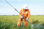 Chạy đua khôi phục điện sau bão số 10 - Bài cuối 