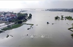 Nước sông Lô dâng cao, tỉnh Phú Thọ cấm mọi phương tiện thủy lưu thông trên sông