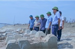 Ninh Bình gấp rút gia cố hệ thống đê biển