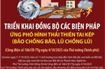 Triển khai đồng bộ các biện pháp ứng phó hình thái thiên tai kép